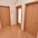 Rent 3 bedroom apartment of 65 m² in Chemnitz