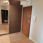 Rent 3 bedroom apartment of 60 m² in Szczecin