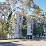 Rent 1 bedroom apartment in Sydney