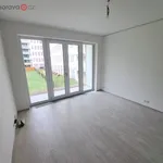 Rent 1 bedroom apartment in Brno