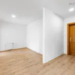 Rent 4 bedroom apartment of 187 m² in Capital City of Prague