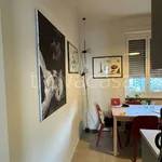 Rent 1 bedroom apartment of 40 m² in Milano