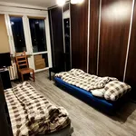 Rent 3 bedroom apartment of 52 m² in Gorzów Wielkopolski