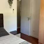 Rent a room in madrid