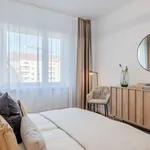 Rent 1 bedroom apartment of 60 m² in berlin