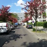 Rent 1 bedroom apartment of 538 m² in Berlin