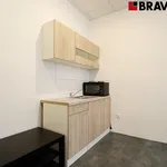 Rent 2 bedroom apartment of 30 m² in Brno