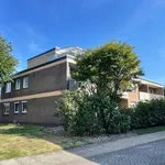 Rent 3 bedroom apartment of 76 m² in Westerstede