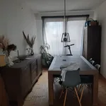 Rent 1 bedroom apartment in Antwerp