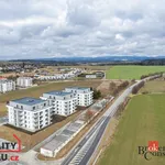 Rent 2 bedroom apartment in Rychnov nad Kněžnou