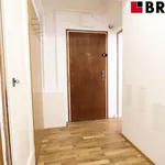 Rent 1 bedroom apartment in Brno