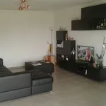 Rent 1 bedroom apartment in Geel