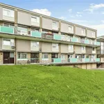 Rent 3 bedroom apartment in Sheffield