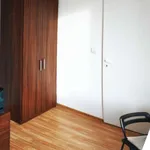 Rent a room in wroclaw