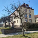 Rent 2 bedroom apartment of 38 m² in Mittweida