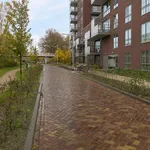 Rent 2 bedroom apartment of 111 m² in Tilburg