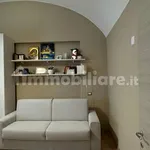 Rent 1 bedroom apartment of 40 m² in Piacenza