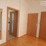 Rent 3 bedroom apartment of 90 m² in Brno