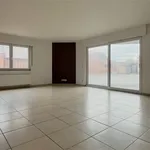 Rent 2 bedroom apartment in Londerzeel