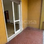 Rent 3 bedroom apartment of 100 m² in Brugherio