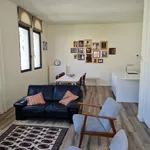 Rent 1 bedroom apartment in Antwerpen