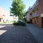 Rent 1 bedroom apartment of 55 m² in groningen