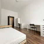 Rent 1 bedroom apartment in Brno