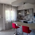 Rent 1 bedroom apartment of 55 m² in Roma