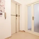 Rent 5 bedroom apartment in Rome