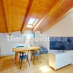 Rent 1 bedroom apartment of 45 m² in Triest