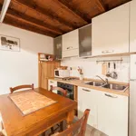 Rent 1 bedroom apartment in Florence