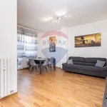 Rent 2 bedroom apartment of 70 m² in Torino