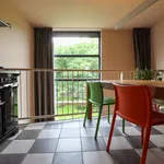 Rent 3 bedroom apartment of 107 m² in Rotterdam