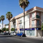 Rent 2 bedroom apartment in Seville