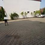 Rent 2 bedroom apartment of 60 m² in Timisoara