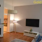 Rent 4 bedroom apartment in Olomouc