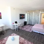 Rent 1 bedroom apartment in Montreal