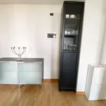 Rent 2 bedroom apartment of 55 m² in Milano