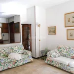 Rent 4 bedroom apartment of 100 m² in Pavia