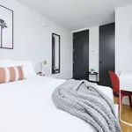 Rent 1 bedroom apartment in New York