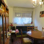 Rent 4 bedroom apartment of 100 m² in Bologna