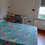 Rent 2 bedroom apartment of 50 m² in Napoli