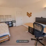 Rent 3 bedroom house in Brighton