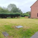 Rent 1 bedroom house in Chelmsford