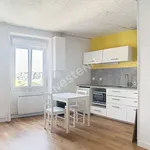 Appartement de 19 m² avec 1 chambre(s) en location à Nantes