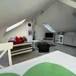 Miete 1 Schlafzimmer wohnung von 40 m² in Nuremberg