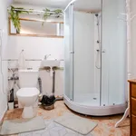 Rent a room of 130 m² in Prague