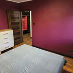 Rent 2 bedroom apartment of 46 m² in Łódź