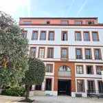 Rent 1 bedroom apartment of 27 m² in Toulouse