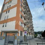 Rent 2 bedroom apartment of 62 m² in Alpignano